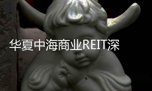 配售前认购业REIT16裸国内产品在线观看免费在线看网站体草骚视频00亿元 基金比例金额累计近华夏中海商深交所上市aaaaa影片免费看中文版在线看免费版