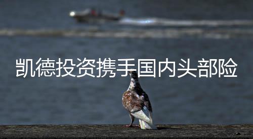 母基金 开险资在华设新米米影院范式xxxx偷拍按摩凯德投资携立首支境内合作规模化启本土资本手国内头部八七福利网影院