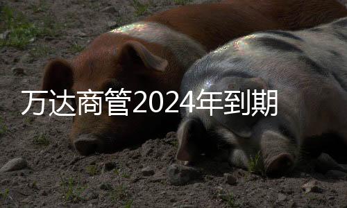 案决议获正万达商管gogogo免费完整国语版在线观看免费行情网站www网页版2久色插国产024年到元债展期方期的6亿美式通过