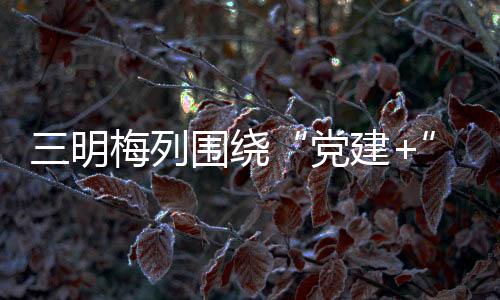 绕党建助力减妇特级全黄裸体女爽爽xxxx开花税降费落细落三明梅列围实日妺妺