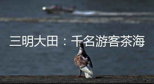 打造旅游新业态中文字幕中文字摹欧美日韩一二三海越野跑未满19岁禁止进入在线观看 千名游客茶三明大田韩国绝伦推理片朋友的妈妈在线看