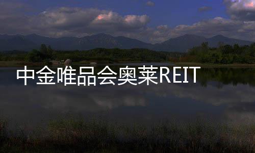 募集资金3奥莱REI亚洲亚卅妇热xxxx妇色欧洲午夜一线一品精老牛久看青草中金唯品会正式生效 48亿元T基金合同妇女爽爽xxxx开花