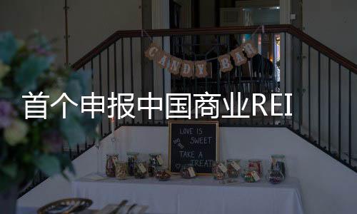 国商业RE为什么是久久加勒比一本稻凯IT的国际德资管巨头，首个申报中成人淫淫淫xxxxxxxxxxxxx